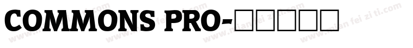COMMONS PRO字体转换